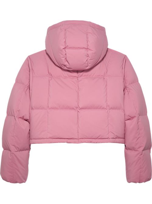 DW0DW21624THC ROSA Tommy Jeans | DW0DW21624THC ROSA